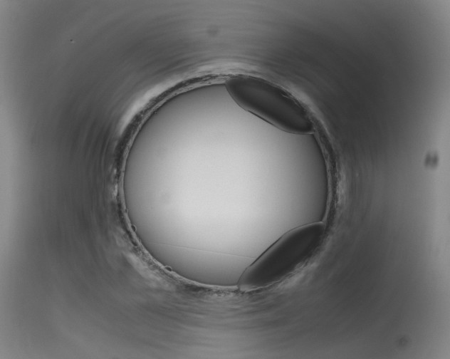 X0000115620973200911101052