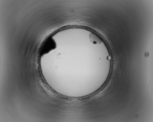 X0000115620974200911101052