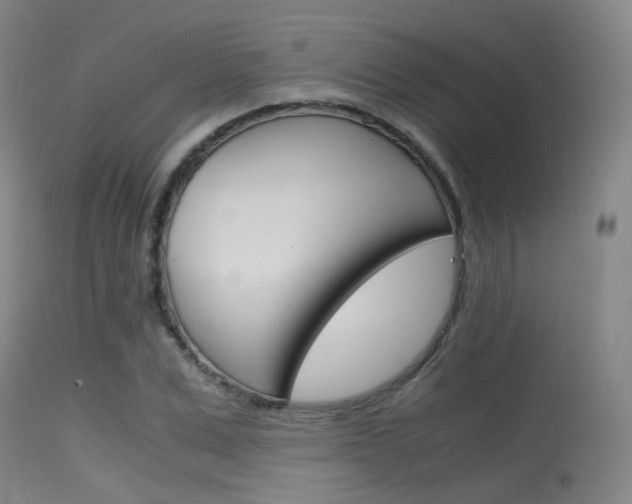 X0000115620975200911101052