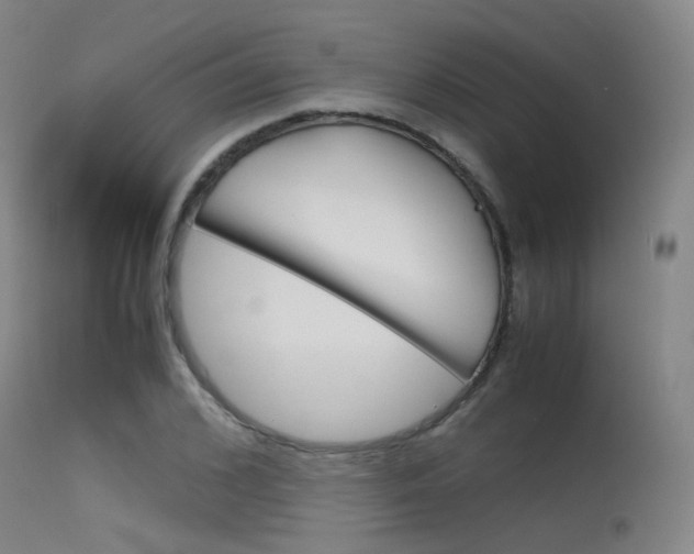 X0000115620976200911101052