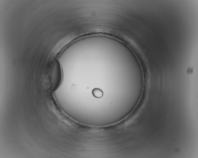 X0000115620977200911101052