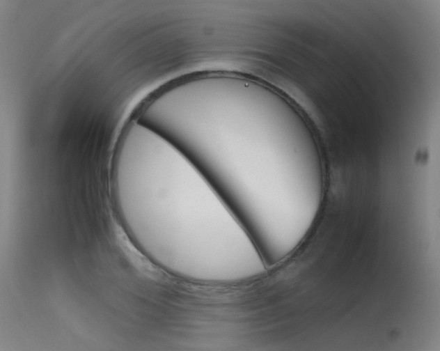 X0000115620980200911101052