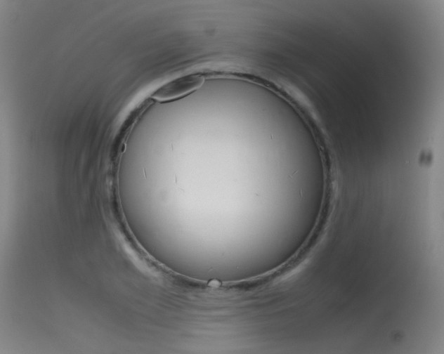 X0000115620981200911101052