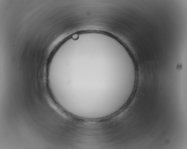 X0000115620982200911101052