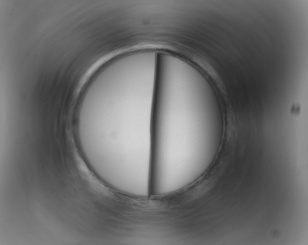 X0000115620984200911101052