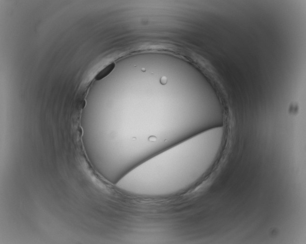 X0000115620985200911101052