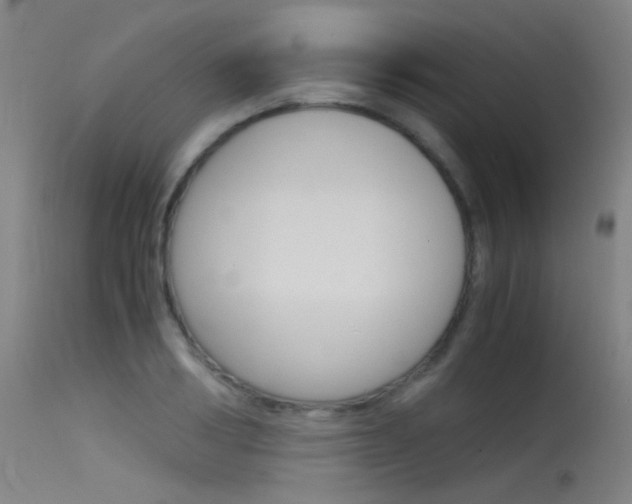 X0000115620986200911101052