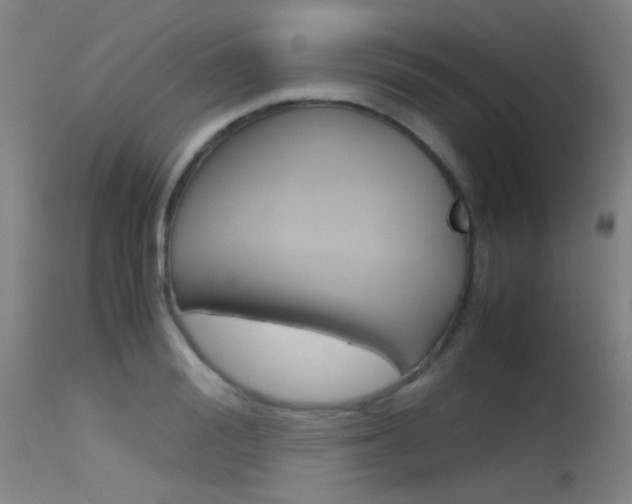 X0000115620988200911101052