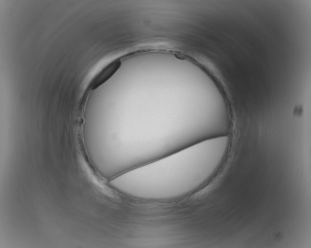 X0000115620989200911101052