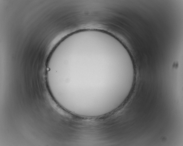 X0000115620990200911101052