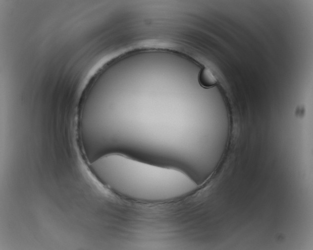 X0000115620992200911101052