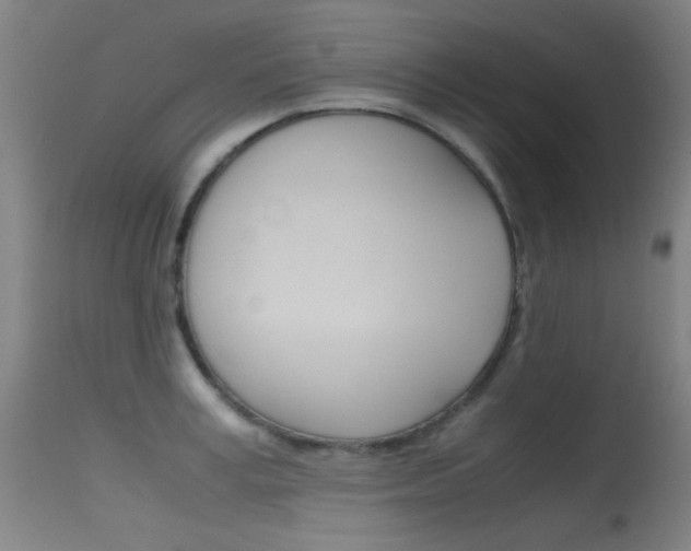 X0000115620995200911101052