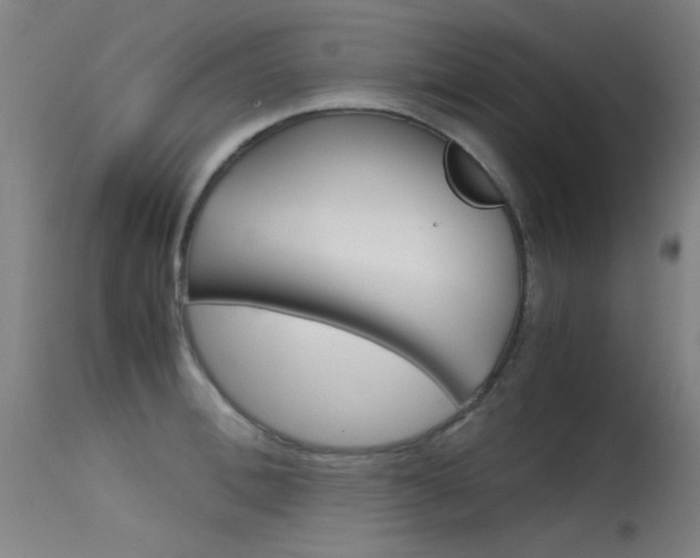 X0000115620996200911101052