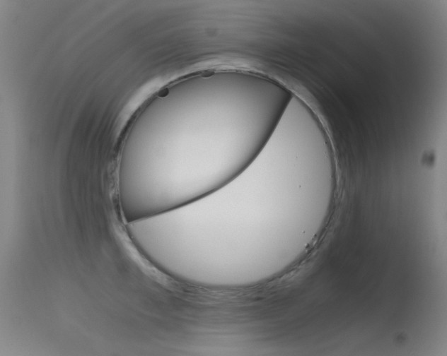 X0000115620997200911101052