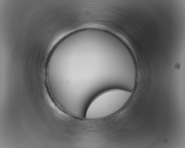 X0000115620999200911101052