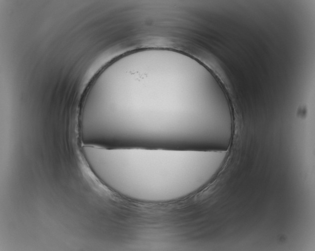 X0000115621000200911101052