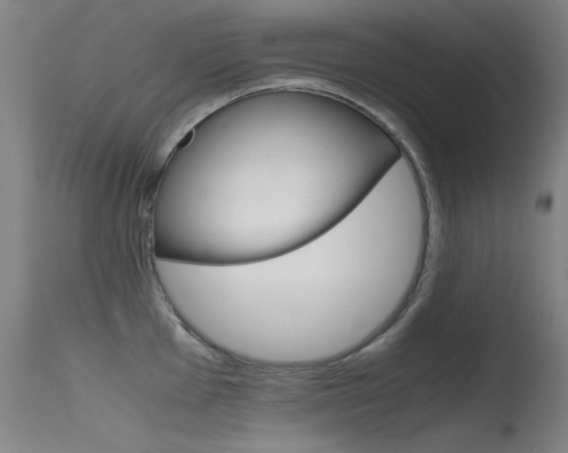 X0000115621001200911101052