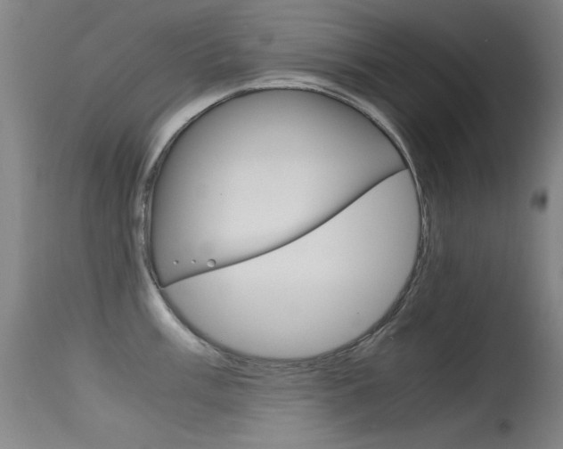 X0000115621003200911101052