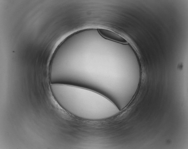 X0000115621004200911101052