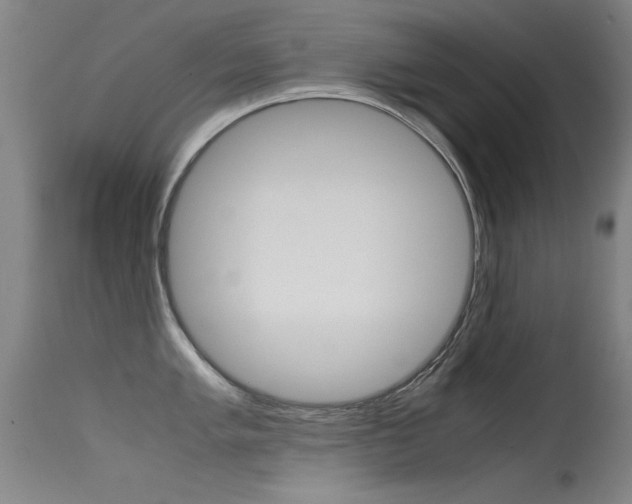 X0000115621005200911101052