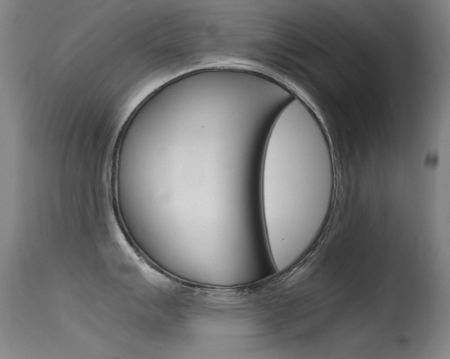 X0000115621007200911101052