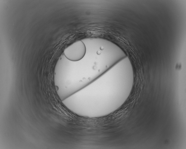 X0000115621009200911101051