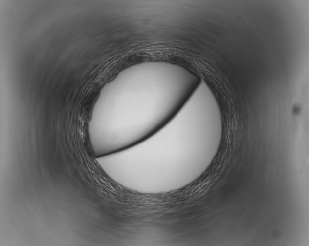 X0000115621010200911101051