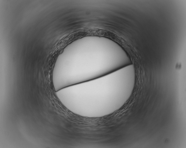 X0000115621013200911101051