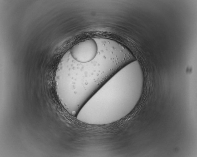 X0000115621014200911101051