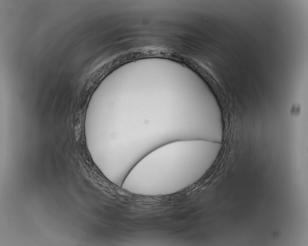 X0000115621015200911101051