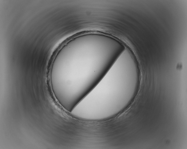 X0000115621020200911101051