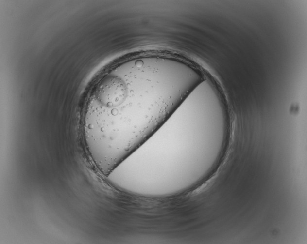 X0000115621021200911101051