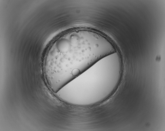X0000115621022200911101051