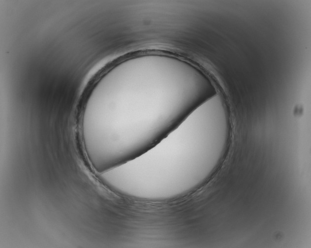 X0000115621024200911101051