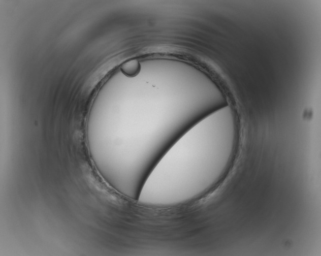 X0000115621025200911101051