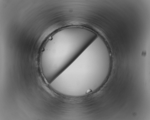 X0000115621026200911101051