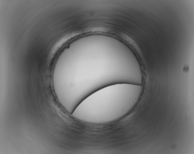 X0000115621027200911101051