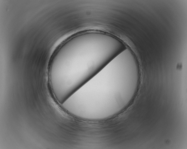 X0000115621028200911101051