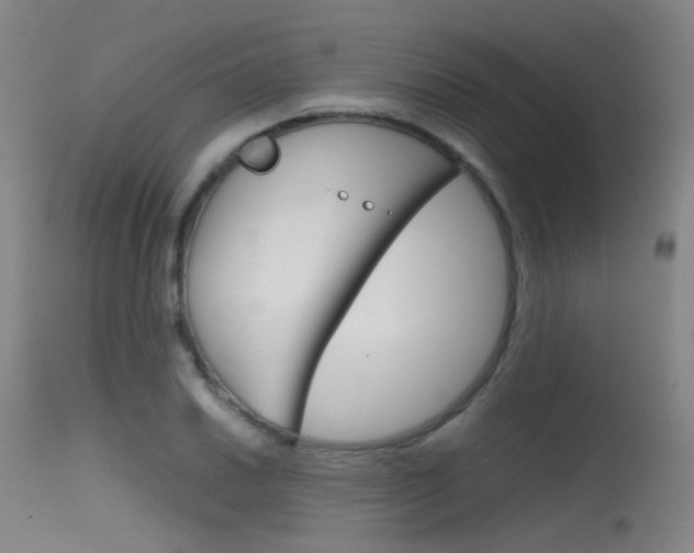 X0000115621030200911101051