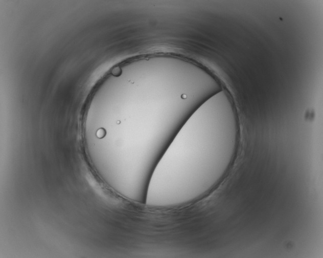 X0000115621031200911101051