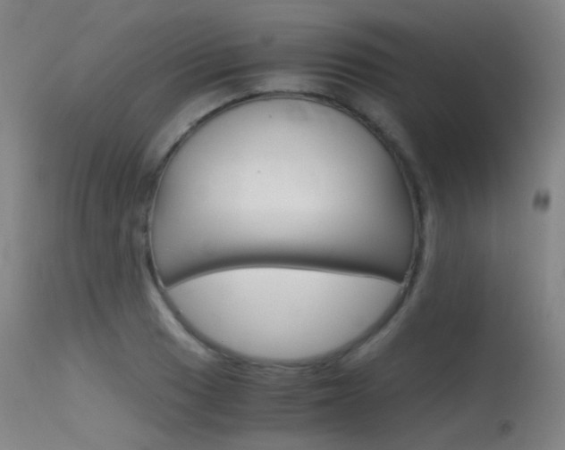 X0000115621033200911101051