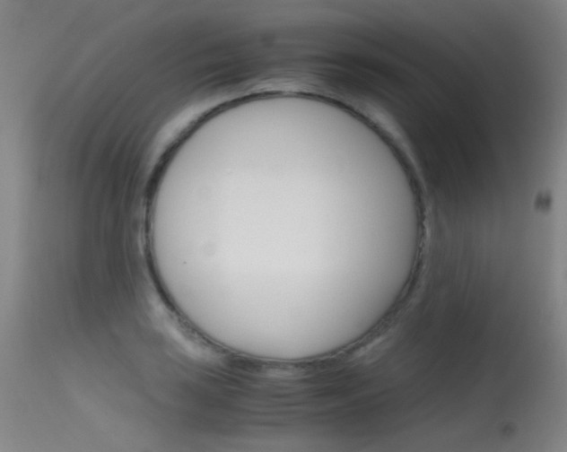 X0000115621035200911101051