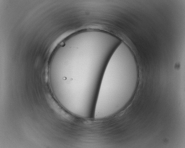 X0000115621036200911101051