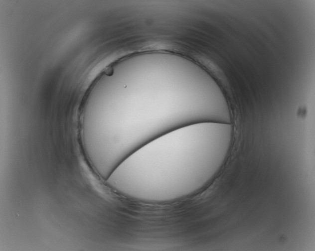 X0000115621039200911101051