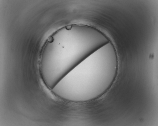 X0000115621040200911101052
