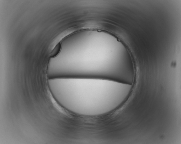 X0000115621041200911101052
