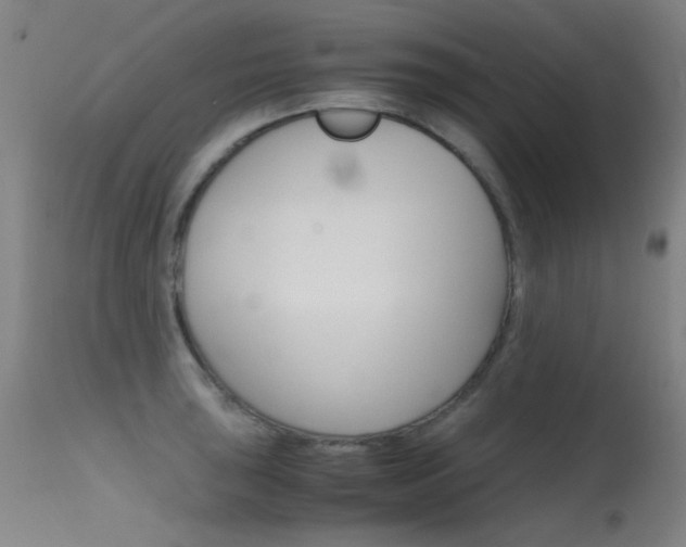 X0000115621043200911101052