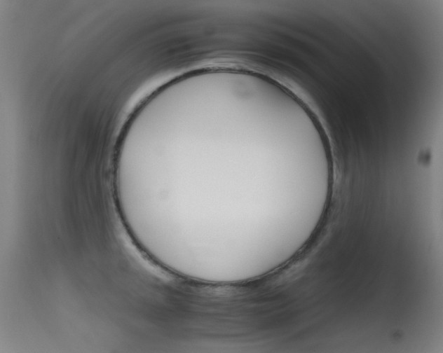 X0000115621045200911101052