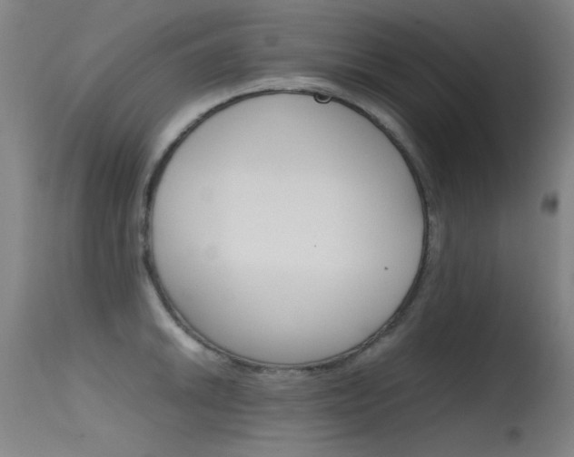 X0000115621046200911101052