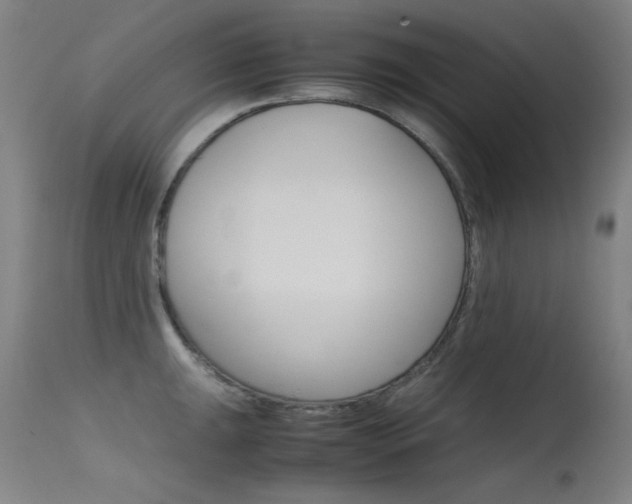 X0000115621047200911101052
